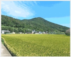  2025Ÿ��52058  �Ӿ߰��