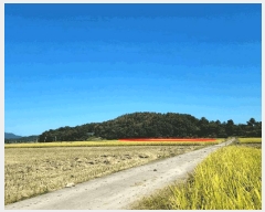  2025Ÿ��52070  ����