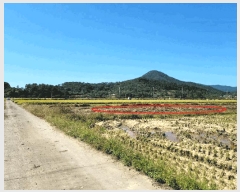  2025Ÿ��52070  ����