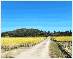  2025Ÿ��52070  ����