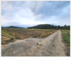  2025Ÿ��52070  ����