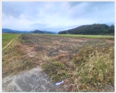  2025Ÿ��52070  ����