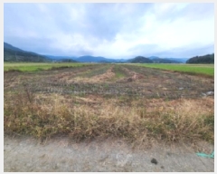  2025Ÿ��52070  ����