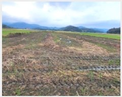  2025Ÿ��52070  ����