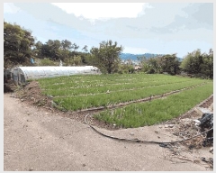  2025Ÿ��52100 ���� ����� ������ ������ ��152      ����(�Ӿ�)���