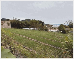  2025Ÿ��52100 ���� ����� ������ ������ ��152      ����(�Ӿ�)���