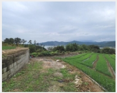  2025Ÿ��52100 ���� ����� ������ ������ ��152      ����(�Ӿ�)���