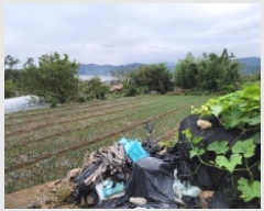  2025Ÿ��52100 ���� ����� ������ ������ ��152      ����(�Ӿ�)���