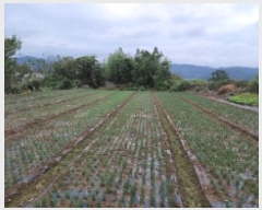  2025Ÿ��52100 ���� ����� ������ ������ ��152      ����(�Ӿ�)���