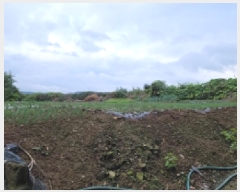  2025Ÿ��52100 ���� ����� ������ ������ ��152      ����(�Ӿ�)���