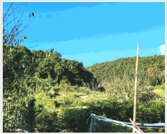  2025Ÿ��52166 ���� ������ ȭ��� ������ ��78-1      ����(�Ӿ�)���