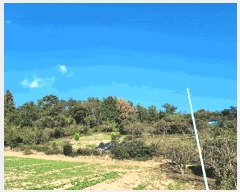  2025Ÿ��52166 ���� ������ ȭ��� ������ ��78-1      ����(�Ӿ�)���