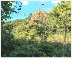  2025Ÿ��52166 ���� ������ ȭ��� ������ ��78-1      ����(�Ӿ�)���