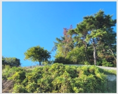  2025Ÿ��52166 ���� ������ ȭ��� ������ ��78-1      ����(�Ӿ�)���