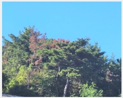  2025Ÿ��52166 ���� ������ ȭ��� ������ ��78-1      ����(�Ӿ�)���