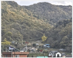  2025Ÿ��52304  �Ӿ߰��