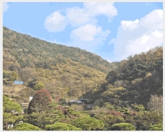  2025Ÿ��52304  �Ӿ߰��