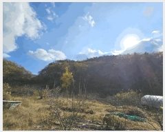  2025Ÿ��52304  �Ӿ߰��