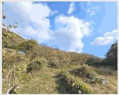  2025Ÿ��52304  �Ӿ߰��