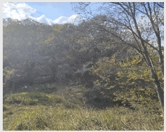  2025Ÿ��52304  �Ӿ߰��