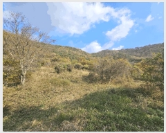  2025Ÿ��52304  �Ӿ߰��