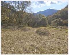  2025Ÿ��52304  �Ӿ߰��