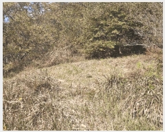  2025Ÿ��52304  �Ӿ߰��