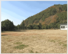  2025Ÿ��52322 ���� ����� �پи� �ſ��� 1600-1      ����,â�����