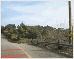  2025Ÿ��52322 ���� ����� �پи� �ſ��� 1600-1      ����,â�����