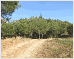  2025Ÿ��52322 ���� ����� �پи� �ſ��� 1600-1      ����,â�����