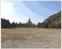  2025Ÿ��52322 ���� ����� �پи� �ſ��� 1600-1      ����,â�����