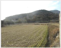  2025Ÿ��52352 ���� ������ ���̸� ����� 248      ����(��)���