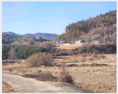  2025Ÿ��52352 ���� ������ ���̸� ����� 248      ����(��)���