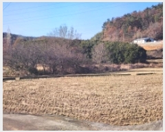  2025Ÿ��52352 ���� ������ ���̸� ����� 248      ����(��)���