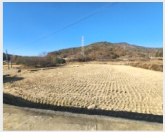  2025Ÿ��52352 ���� ������ ���̸� ����� 248      ����(��)���