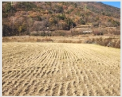  2025Ÿ��52352 ���� ������ ���̸� ����� 248      ����(��)���