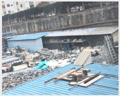  2025Ÿ��52392  �������