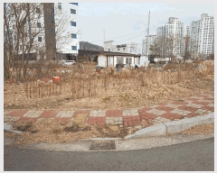  2025Ÿ��52402 ���� ����� ���� 1174-7       ����(����)���