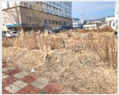  2025Ÿ��52402 ���� ����� ���� 1174-5       ����(����)���