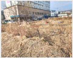  2025Ÿ��52402 ���� ����� ���� 1174-5       ����(����)���