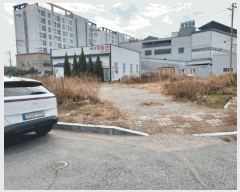  2025Ÿ��52402 ���� ����� ���� 1174-1       ����(����)���