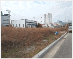  2025Ÿ��52402 ���� ����� ���� 1174-1       ����(����)���