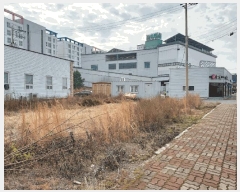  2025Ÿ��52402 ���� ����� ���� 1174-1       ����(����)���