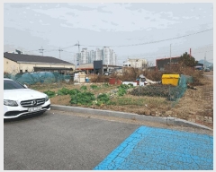  2025Ÿ��52402 ���� ����� ���� 1174-1       ����(����)���