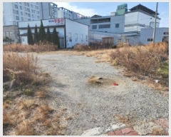  2025Ÿ��52402 ���� ����� ���� 1174-1       ����(����)���