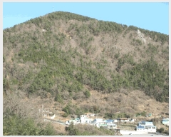  2025Ÿ��52413 ���� ������ ������ ��54-1       ����(�Ӿ�)���