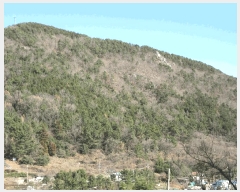  2025Ÿ��52413 ���� ������ ������ ��54-1       ����(�Ӿ�)���