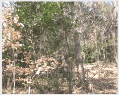  2025Ÿ��52413 ���� ������ ������ ��54-1       ����(�Ӿ�)���