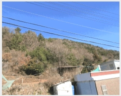  2025Ÿ��52413 ���� ������ ������ ��54-1       ����(�Ӿ�)���