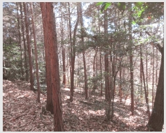  2025Ÿ��52413 ���� ������ ������ ��54-1       ����(�Ӿ�)���